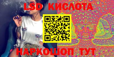 молекула духа Камышлов