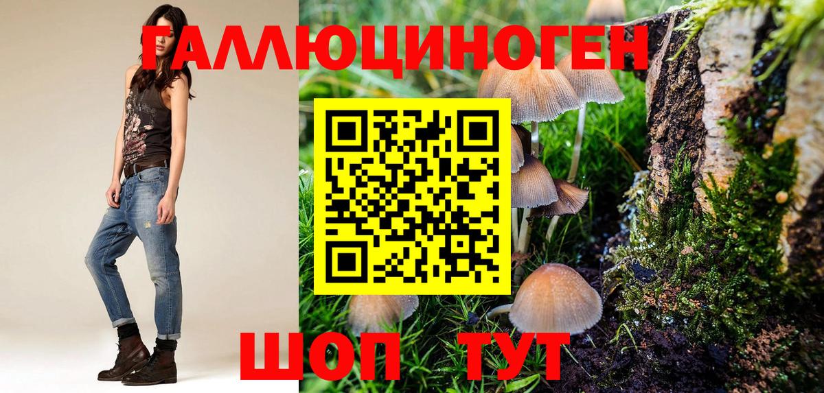 Галлюциногенные грибы Cubensis  Вход с VPN  Изобильный 